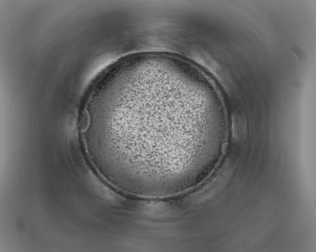 X0000113981452200910161611