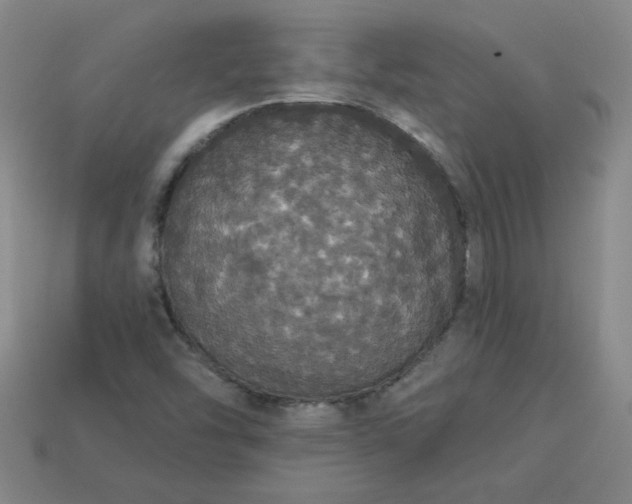 X0000113981454200910161611