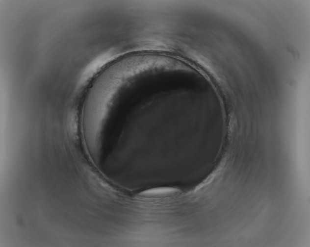 X0000113981455200910161611