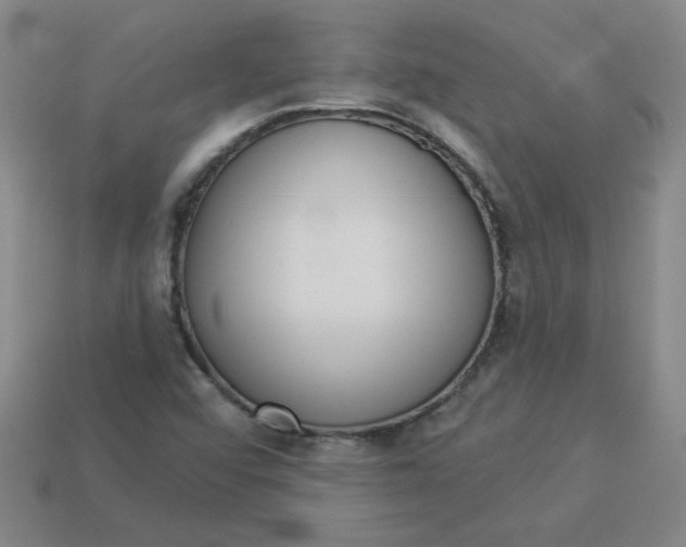 X0000113981456200910161611