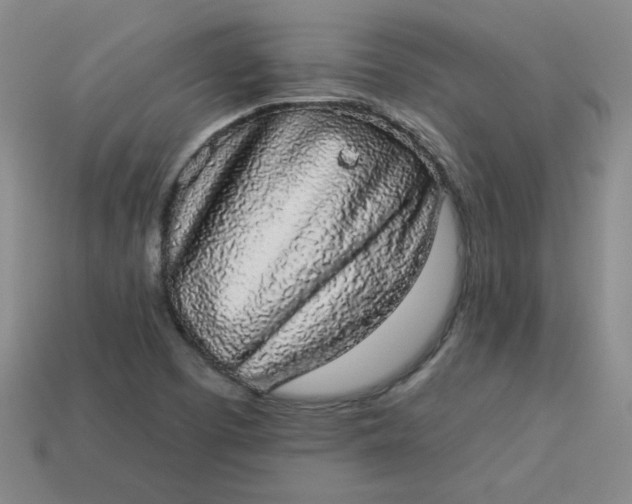 X0000113981457200910161611