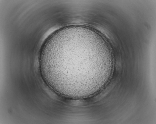 X0000113981458200910161611