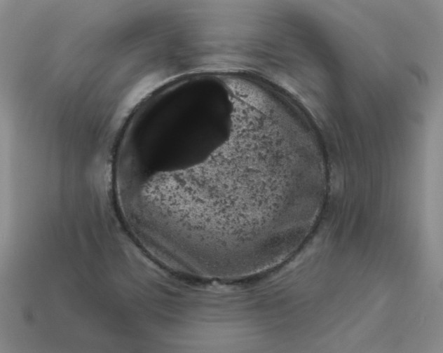 X0000113981459200910161611