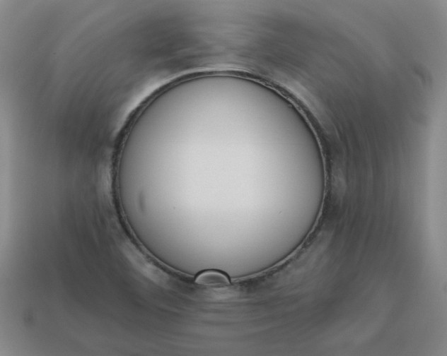 X0000113981460200910161611