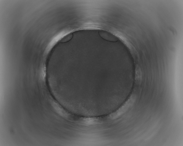 X0000113981461200910161611