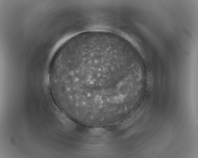 X0000113981462200910161611