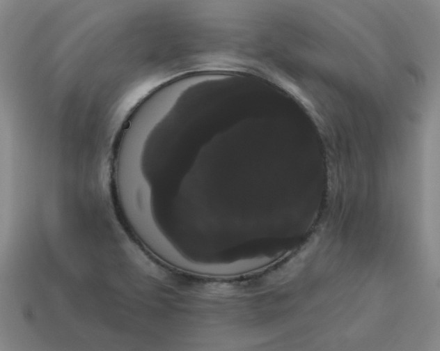 X0000113981463200910161611