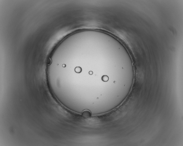 X0000113981464200910161611