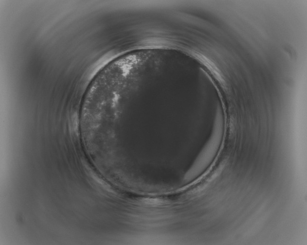 X0000113981465200910161611