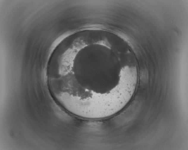 X0000113981466200910161611