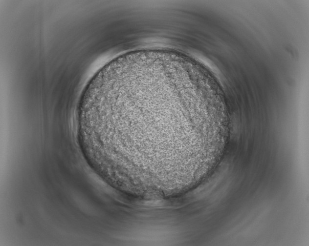 X0000113981467200910161611