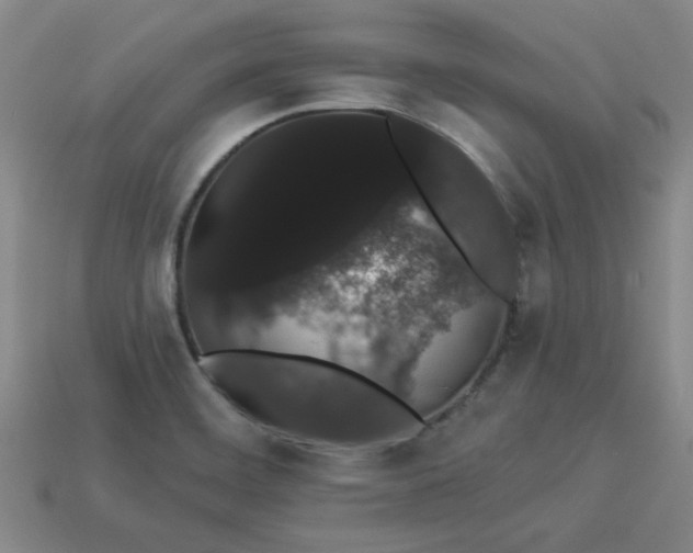 X0000113981468200910161611