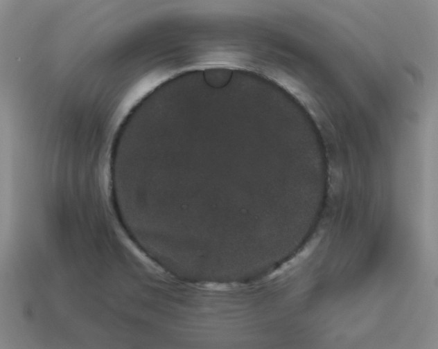 X0000113981469200910161611