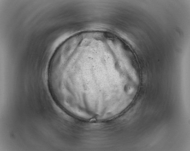 X0000113981471200910161611