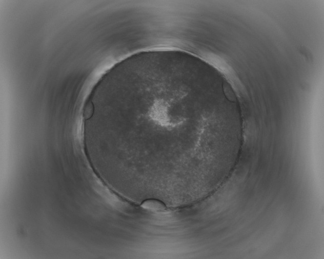 X0000113981472200910161611