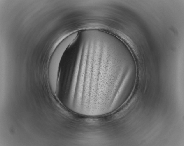 X0000113981473200910161611