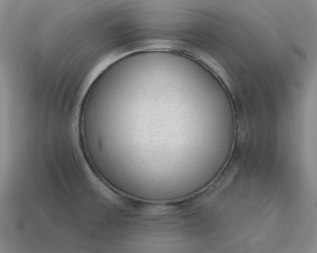 X0000113981475200910161611