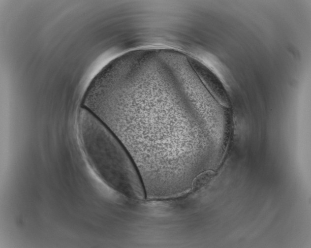 X0000113981476200910161611