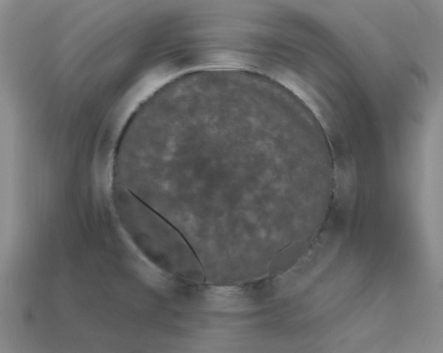 X0000113981477200910161611