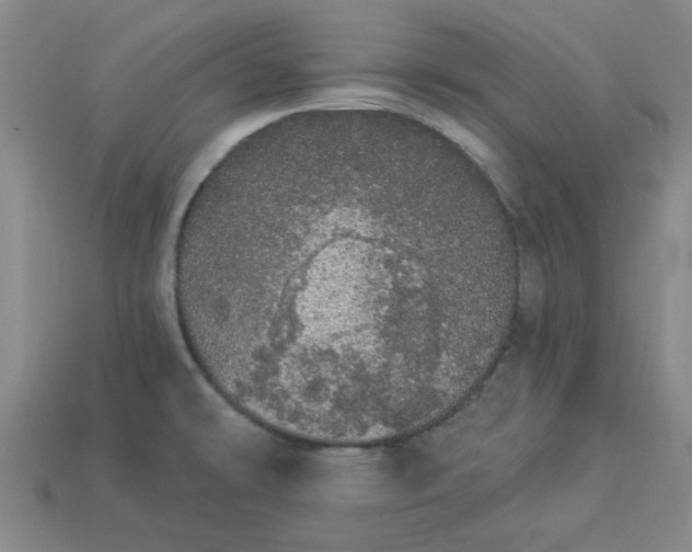 X0000113981478200910161611