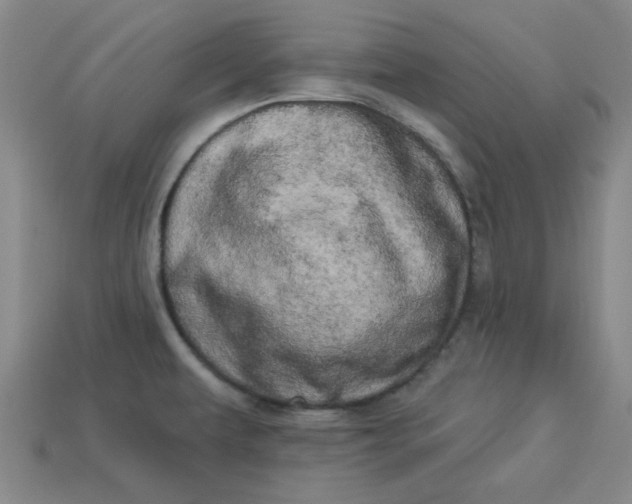 X0000113981479200910161611