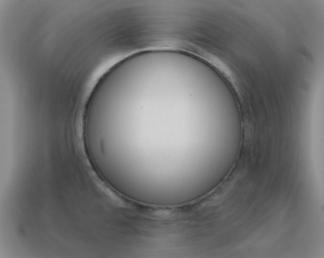 X0000113981480200910161611