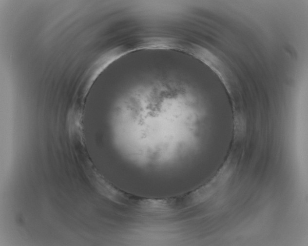 X0000113981481200910161611