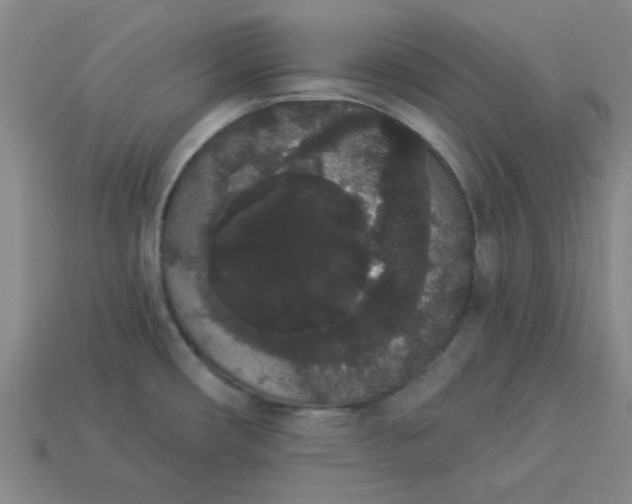 X0000113981482200910161611