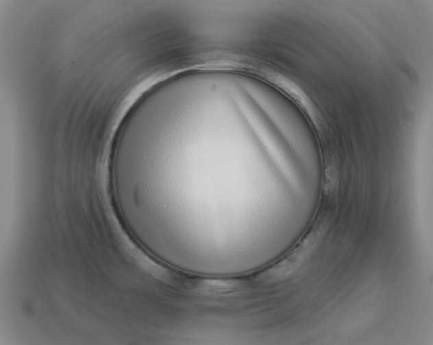 X0000113981483200910161611