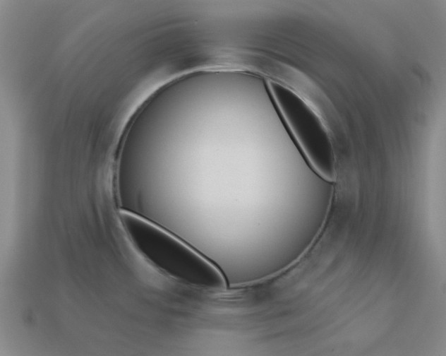 X0000113981484200910161611