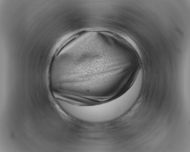 X0000113981485200910161611