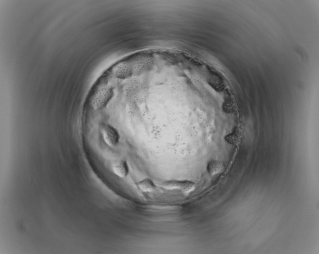 X0000113981487200910161611