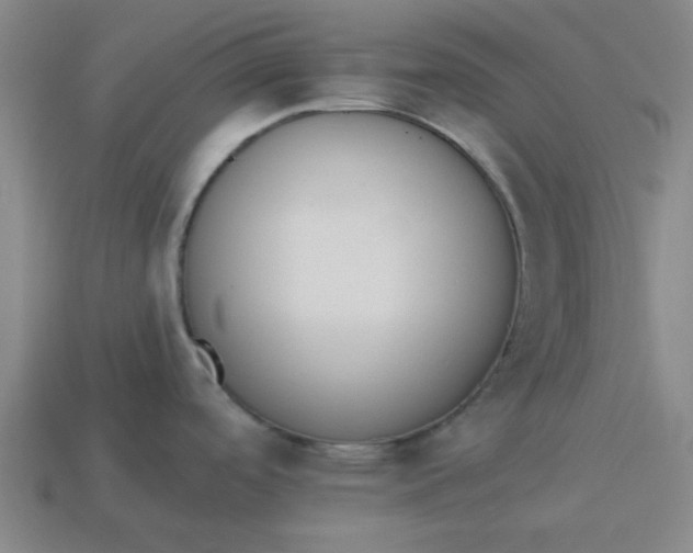 X0000113981488200910161611