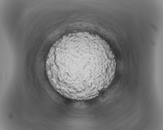 X0000113981489200910161610