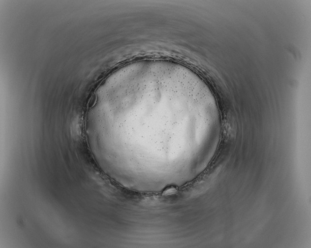 X0000113981490200910161610