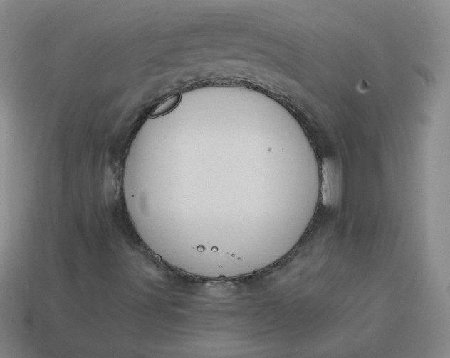 X0000113981491200910161610