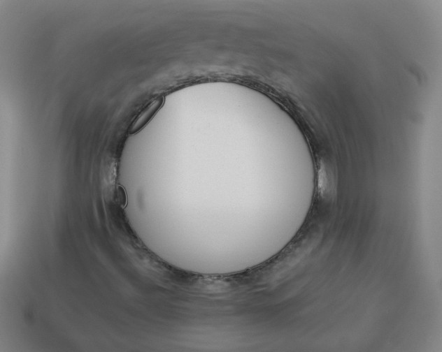 X0000113981492200910161610