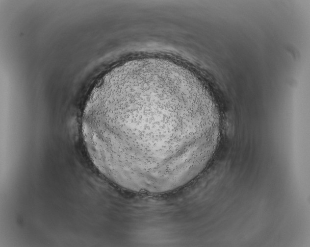 X0000113981493200910161610