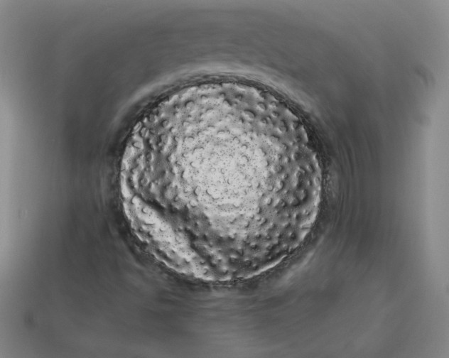 X0000113981494200910161610