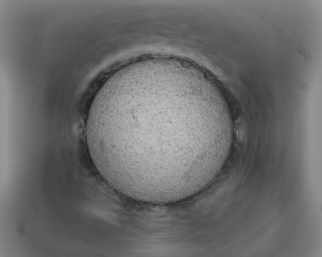 X0000113981495200910161610