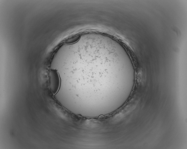 X0000113981496200910161610