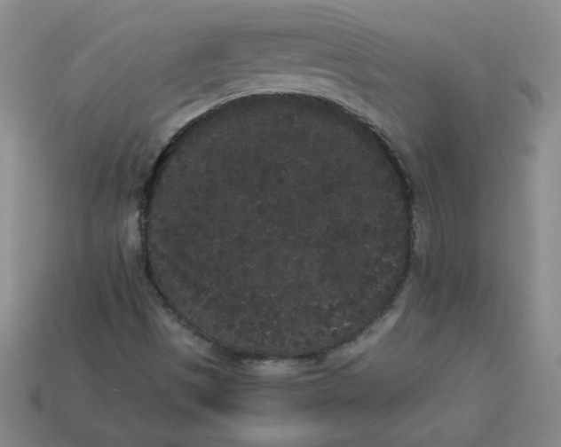 X0000113981497200910161610