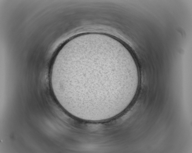 X0000113981498200910161610