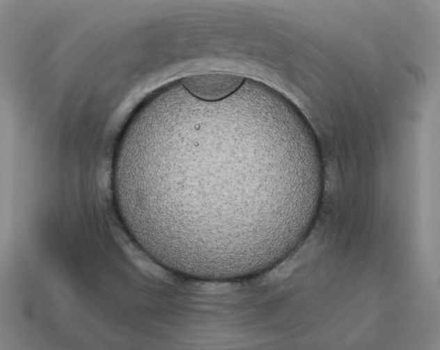 X0000113981499200910161610