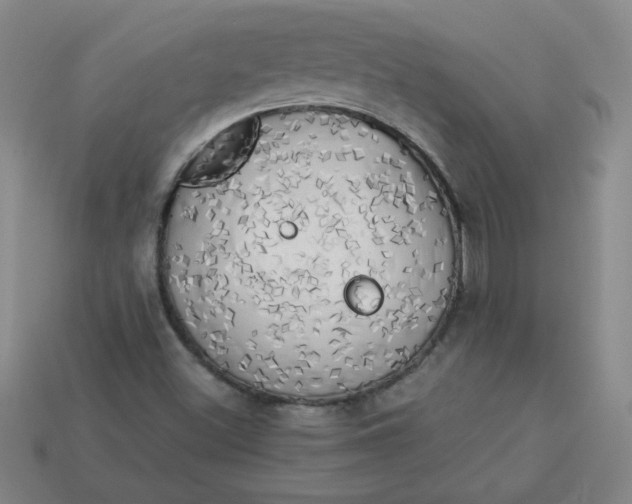 X0000113981500200910161610