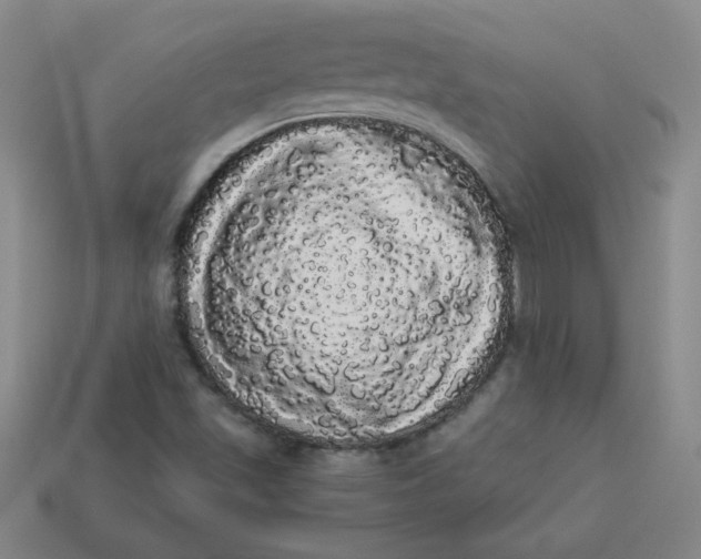 X0000113981501200910161610