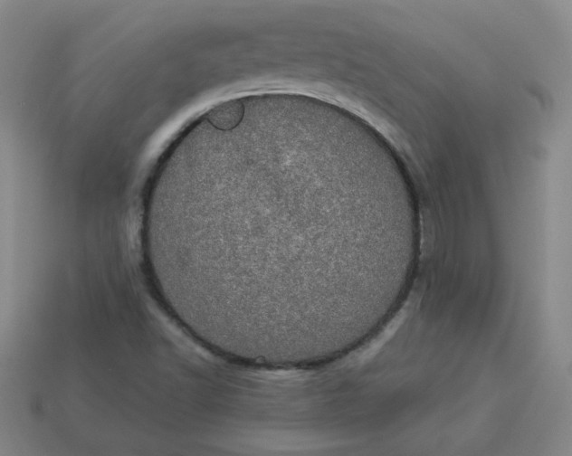 X0000113981502200910161610