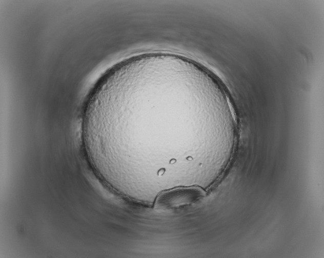 X0000113981503200910161610