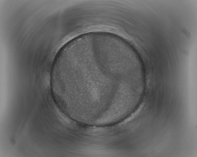 X0000113981505200910161610