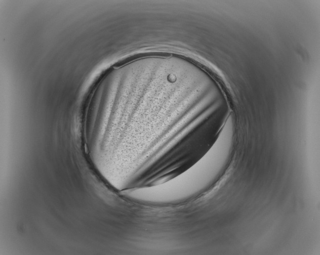 X0000113981506200910161610